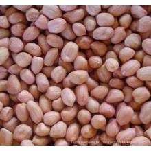 High Quality Peanut Kernels with Red Skin